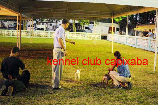 Clique sobre a foto para fechar